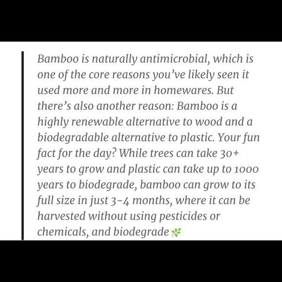 Core Bamboo Serve Set - Picture 4 of 5